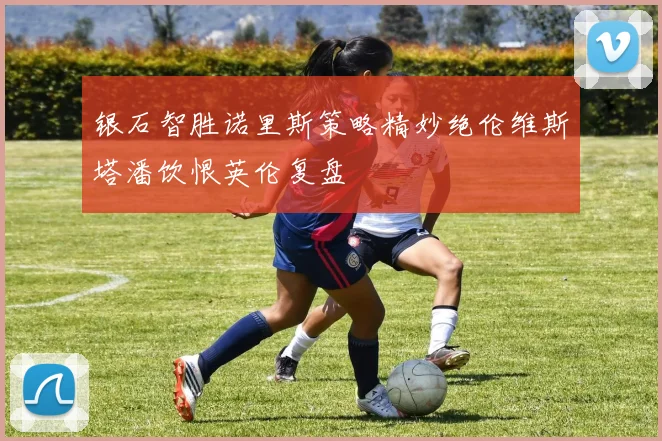银石智胜诺里斯策略精妙绝伦维斯塔潘饮恨英伦复盘