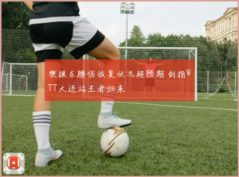樊振东腰伤恢复状况超预期 剑指WTT大连站王者归来